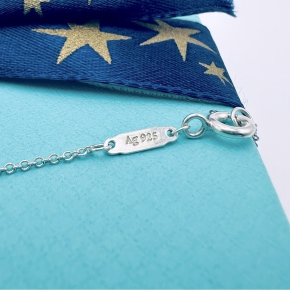 RARE Tiffany & Co. Return To Blue Enamel Bird Heart Charm Necklace w Packaging - Picture 8 of 10